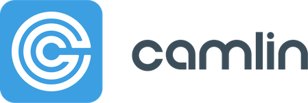 Camlin Group - logo